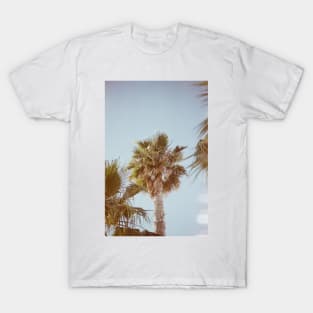 California Palm T-Shirt